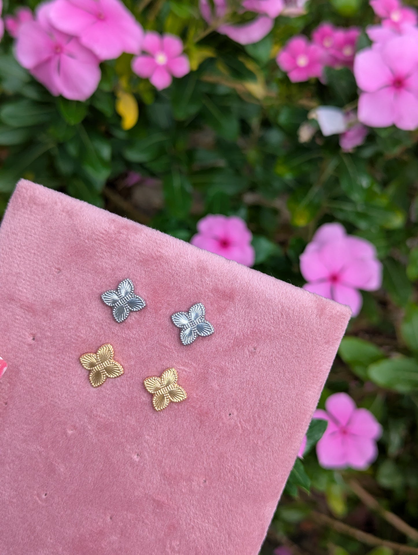 CLEO Studs